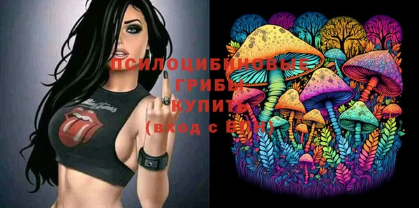 мяу мяу мука Болотное